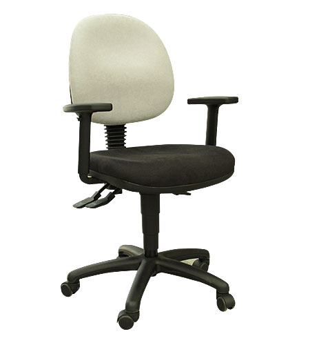Ergonomic Task Chair with arms